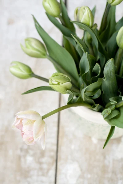 Bouquet de délicates tulipes roses sur fond bois — Photo