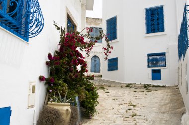 Mavi kapı, pencere ve Sidi Bou Said, Tunus inşaat beyaz duvar