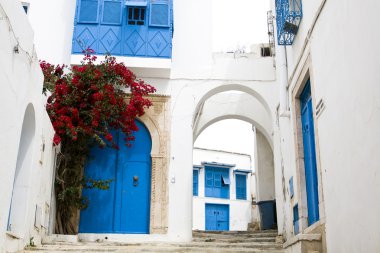 Mavi kapı, pencere ve Sidi Bou Said, Tunus inşaat beyaz duvar