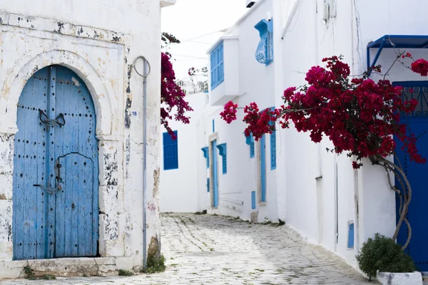 蓝门、 窗口和白墙的建筑在 Sidi Bou 说，突尼斯 — 图库照片
