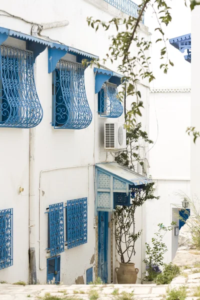 Blå dörrar, fönster och vita väggen av byggnad i Sidi Bou Said, Tunisien — Stockfoto