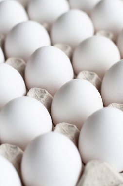 Beyaz arka planda beyaz yumurtalar. Paskalya fotoğrafı konsepti. Kapatın. Yukarıdan bak. Beyaz arkaplan. Paskalya fotoğrafı konsepti. Kapatın. Yukarıdan bak. Yüksek kalite fotoğraf