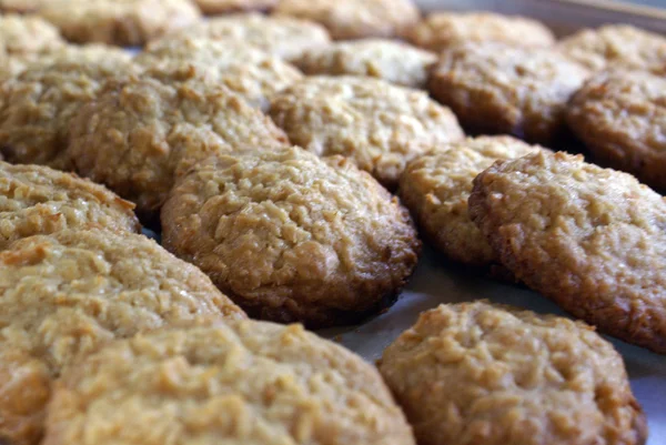 Mango Galletas de avena —  Fotos de Stock