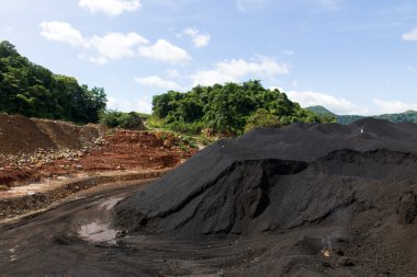 benim kömür stok kazık