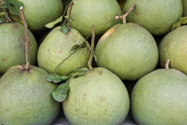 pomelo veya pummelo