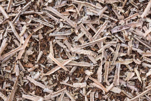 Wooden sawdust — Stock Photo, Image