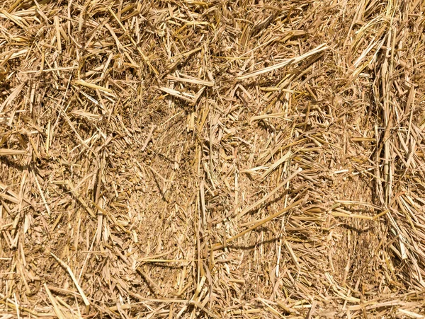 Field with bales of hay — Stock Photo, Image