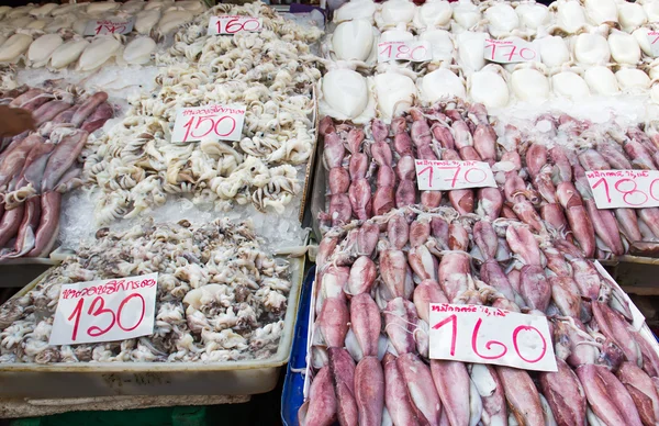 Frischer Tintenfisch — Stockfoto