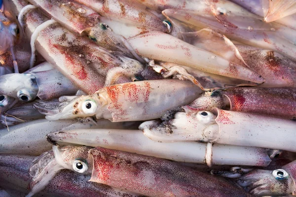 Frischer Tintenfisch — Stockfoto