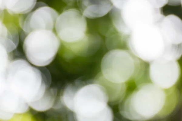 Gröna bokeh abstrakt — Stockfoto