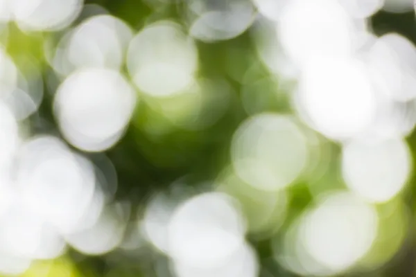 Зелений Боке реферат — стокове фото