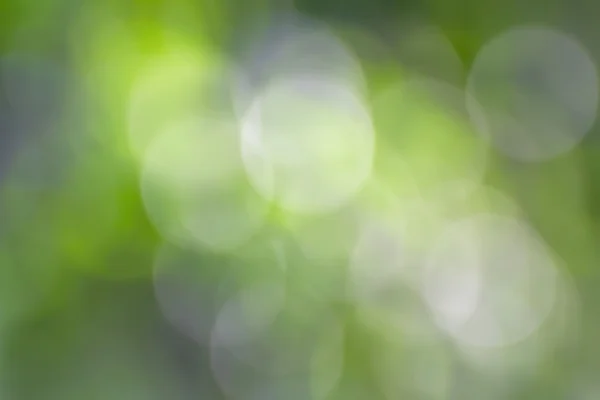 Grünes Bokeh-Abstrakt — Stockfoto