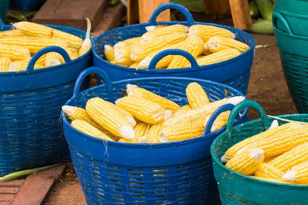 Свіжа кукурудза в кошику — стокове фото