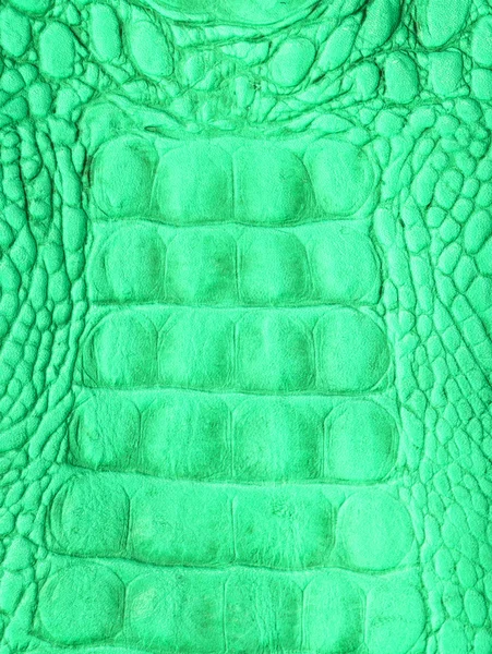 Peau de crocodile — Photo