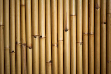 Bambu Arkaplanı