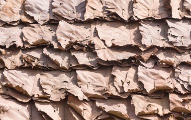 Kuru yaprağı deseni