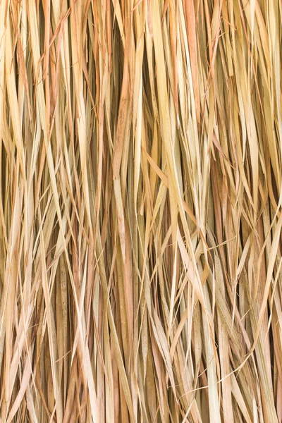 Texture of straw — Stock Photo, Image