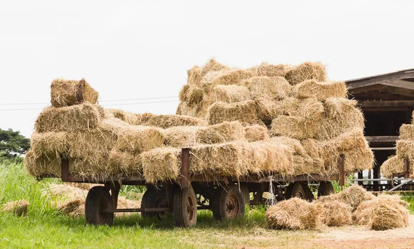 Heuwagen — Stockfoto