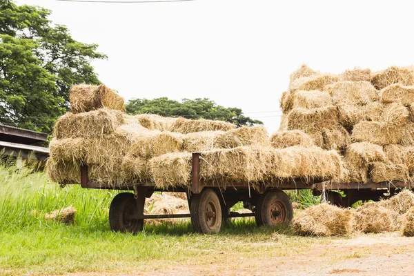Hay wagon — Stock Photo, Image