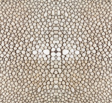 Stingray cilt dokusunu