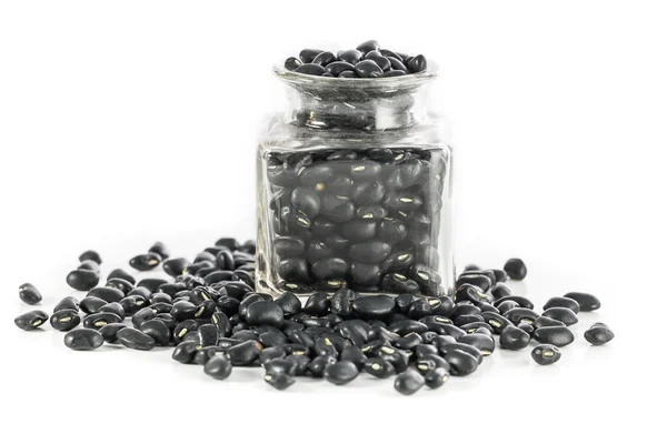 Black beans — Stock Photo, Image