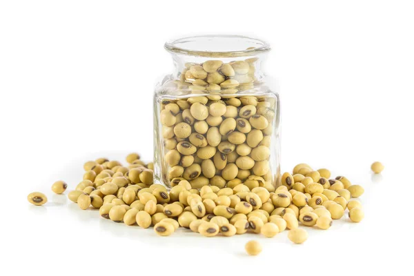 Bottle full of Soybeans — Stock Photo, Image