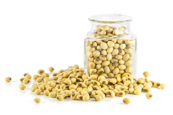 Bottle full of Soybeans — Stock Photo, Image