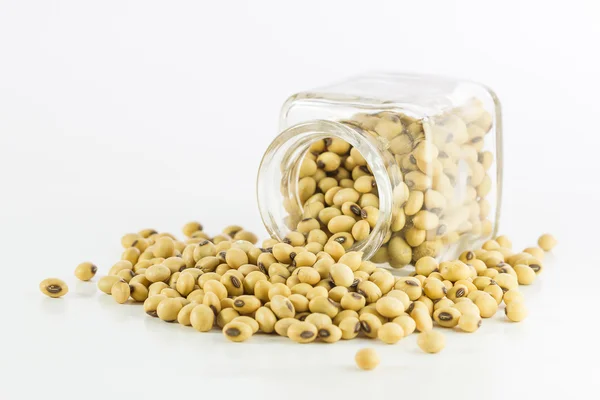 Bottle full of Soybeans — Stock Photo, Image