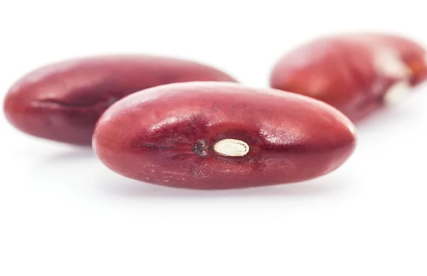 白い背景の上の腎臓豆 — ストック写真
