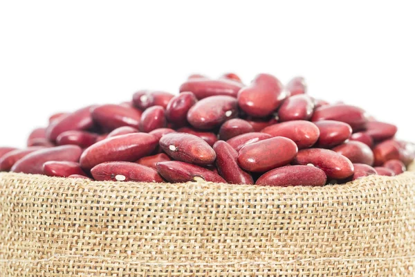 Kidneybönor i säckar foder på vit bakgrund白い背景の上袋飼葉のインゲン豆 — ストック写真