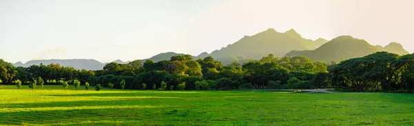 Uitzicht Panoramisch Gras Bos Veld Met Heuvel Achtergrond — Stockfoto