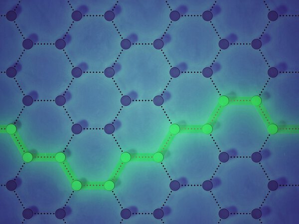 Сеть с взаимосвязанными узлами
