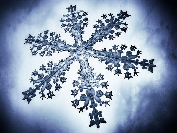 Close-up 3D illustration of a snow flake