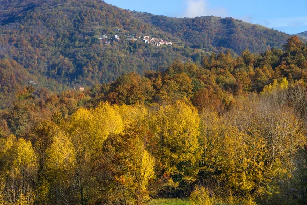 Podzimní stromy v slunečních paprsků, podzimní krajina — Stock fotografie