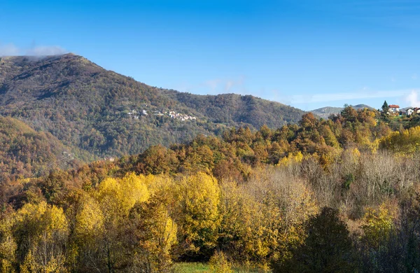 Alberi autunnali in raggi di sole, un paesaggio autunnale — Foto Stock