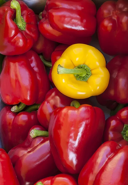 Rote und gelbe Paprika — Stockfoto