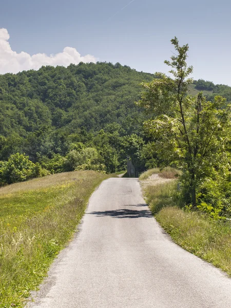 Asphaltierte Straße auf dem Land — Stockfoto