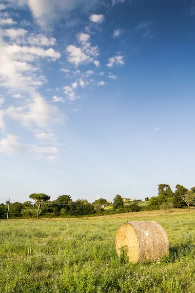 Bal med hö i ett odlade fält — Stockfoto
