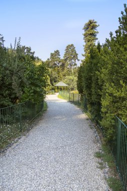 Kırsal kesimde asfalt yol