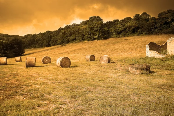 Fardo de feno num campo cultivado ao pôr-do-sol — Fotografia de Stock