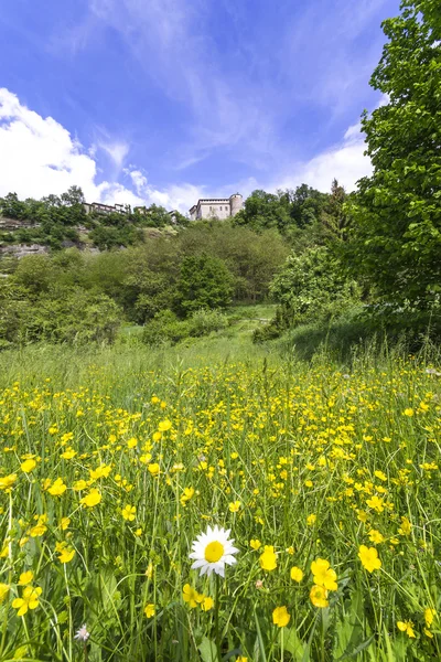 Prato fiorito ai piedi del Castello di Lerma — Foto Stock