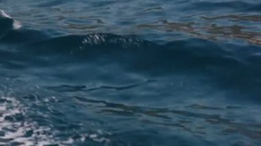 bir zevk tekne görüntülemek