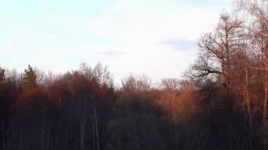 Sunset bulvarında kar orman zaman atlamalı