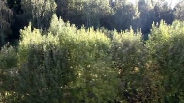 sıcak hava balonu açılış