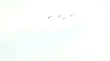 kadrosu savaşçı Jet fly satırda