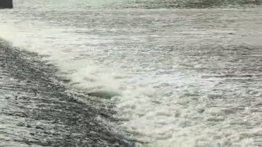gün batımı ve yalnız balıkçı tekne, vltava Nehri üzerinde tava