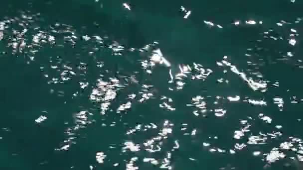 Вид с прогулочной лодки — стоковое видео