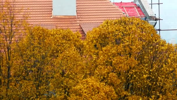 View from old prague square to city blocks and red roofs — Stock Video