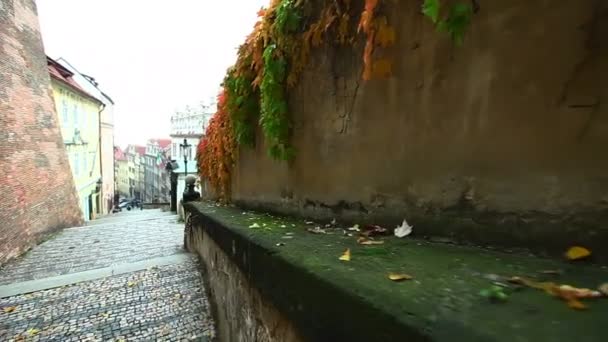 Promenade dans les escaliers sur le côté avec steadicam — Video