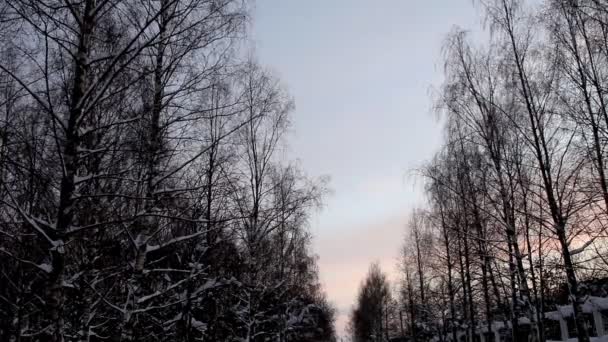 Zonsondergang in de winter park time-lapse — Stockvideo